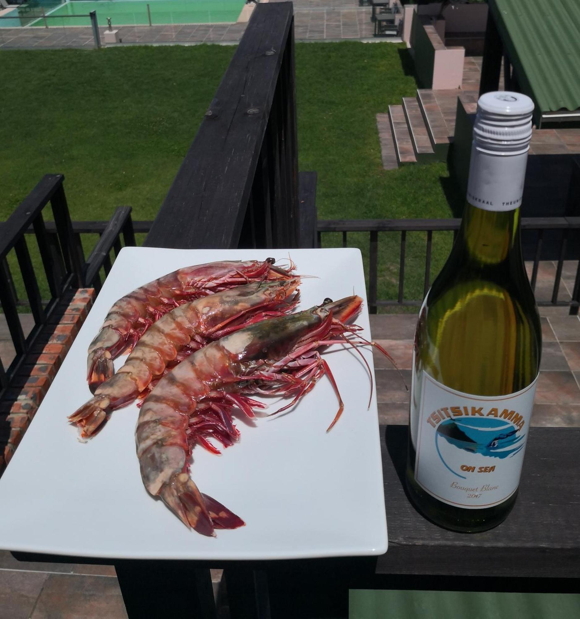 Tsitsikamma On Sea Resort Witelsbos エクステリア 写真
