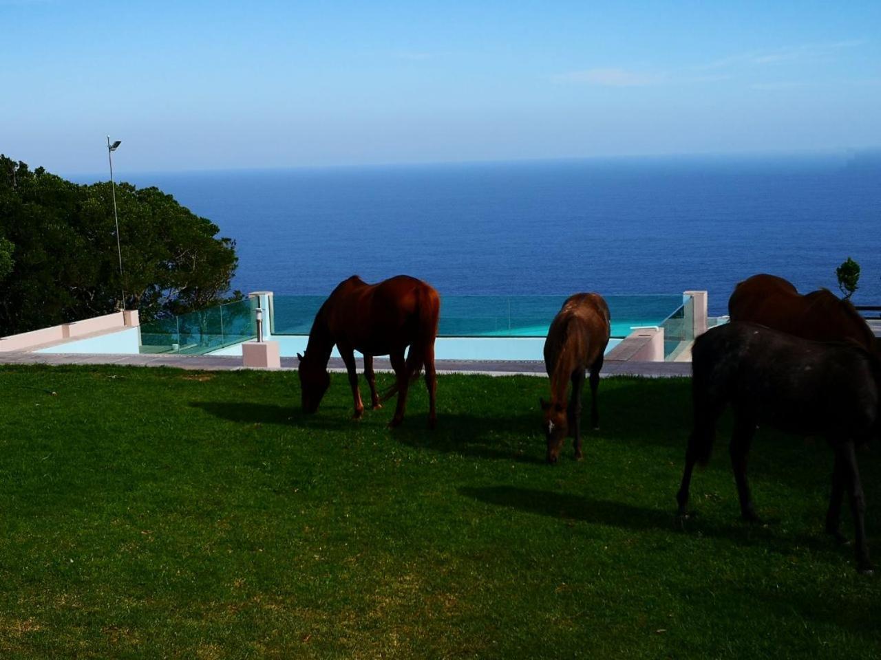 Tsitsikamma On Sea Resort Witelsbos エクステリア 写真