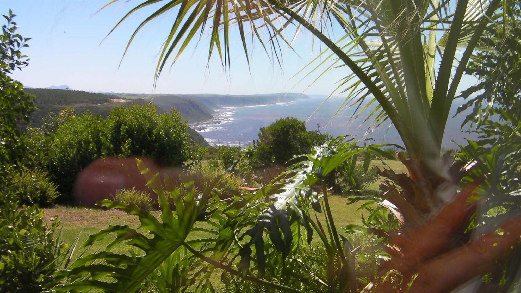 Tsitsikamma On Sea Resort Witelsbos エクステリア 写真